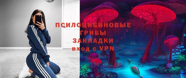 эйфоретик Алексин