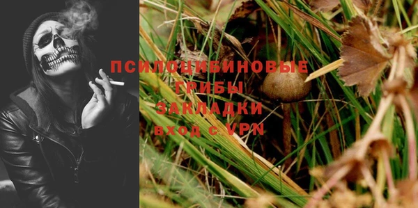 эйфоретик Алексин