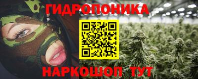 СК Рыбинск