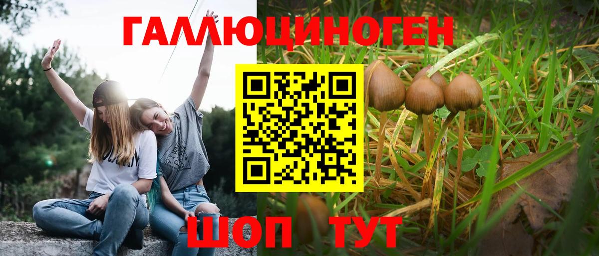 Галлюциногенные грибы MAGIC MUSHROOMS Лысьва